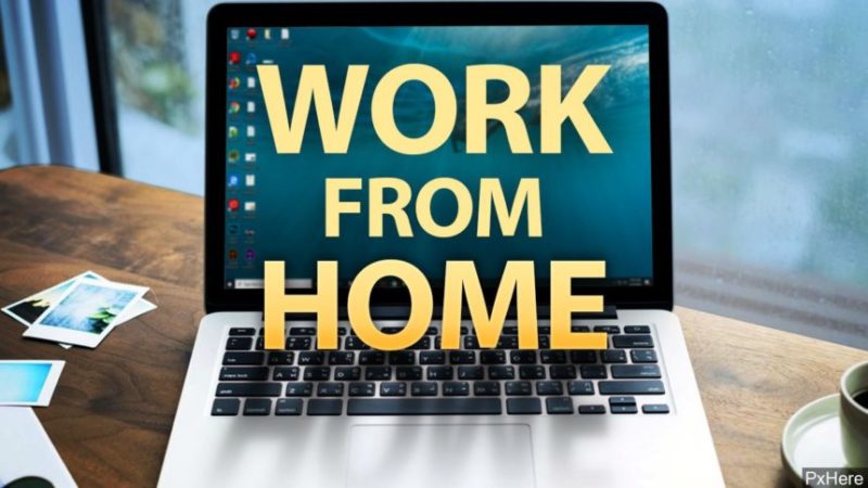 Work From Home: US Trainee At Sunrise Biztech Systems Private Limited